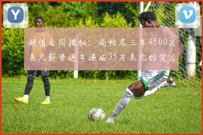 超值合同揭秘：尚帕尼三年4500万美元薪资逐年递减35万美元的背后故事