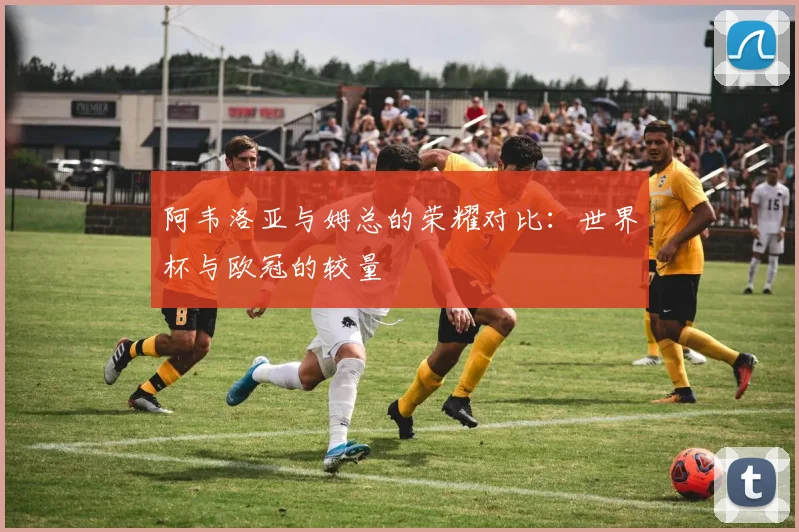 阿韦洛亚与姆总的荣耀对比：世界杯与欧冠的较量