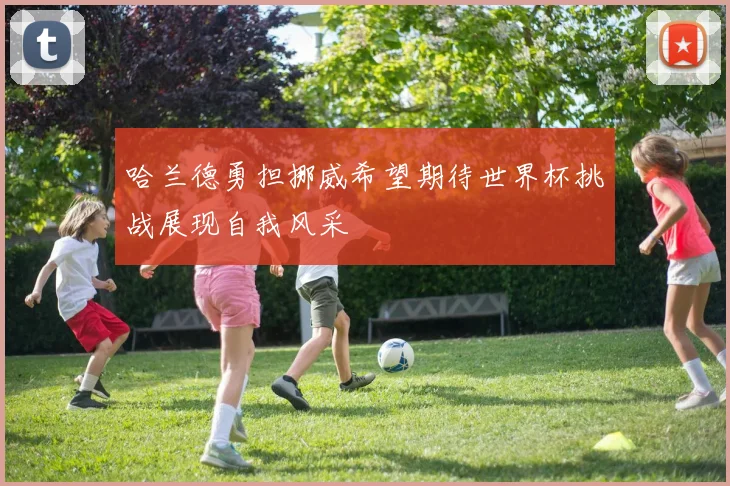 哈兰德勇担挪威希望期待世界杯挑战展现自我风采