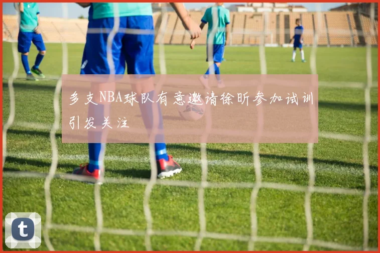 多支NBA球队有意邀请徐昕参加试训引发关注